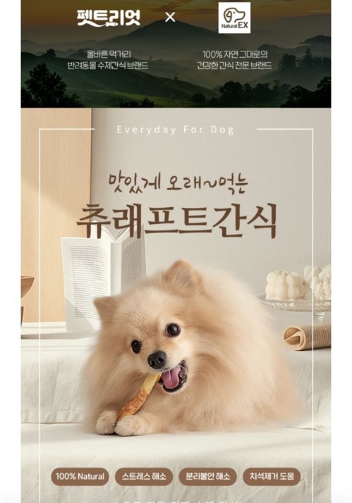 강아지 간식 츄래프트