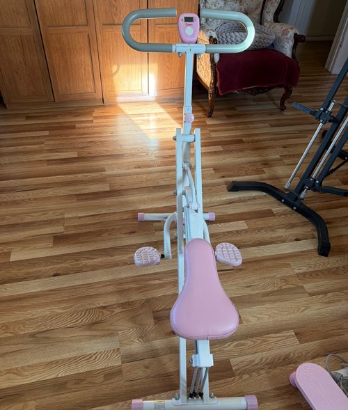 Sunny Row-N-Ride (스쿼트 + 로잉 머신)  👉 스쿼트 보조 + 전신 운동 기구