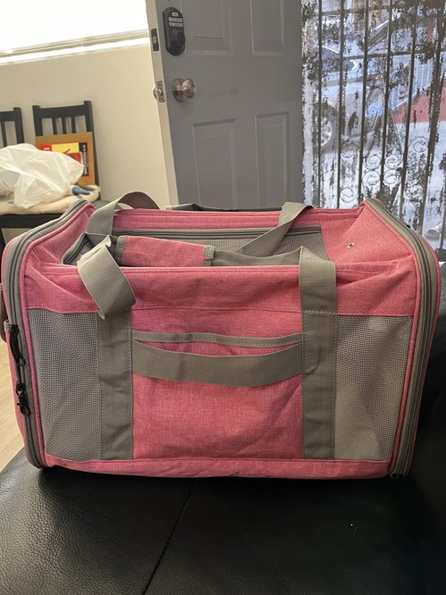 강아지 기내 가방