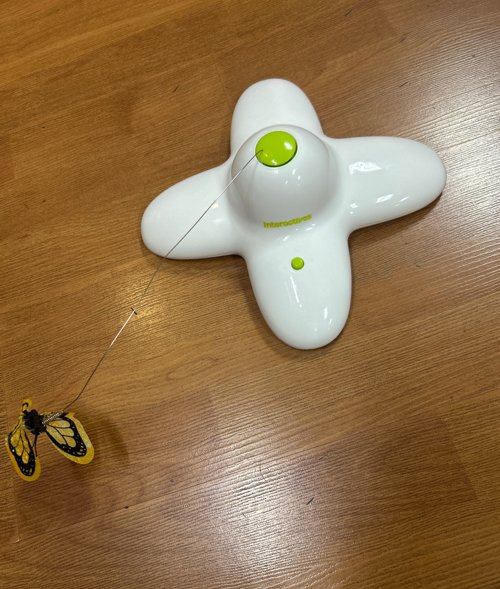 Cat toy