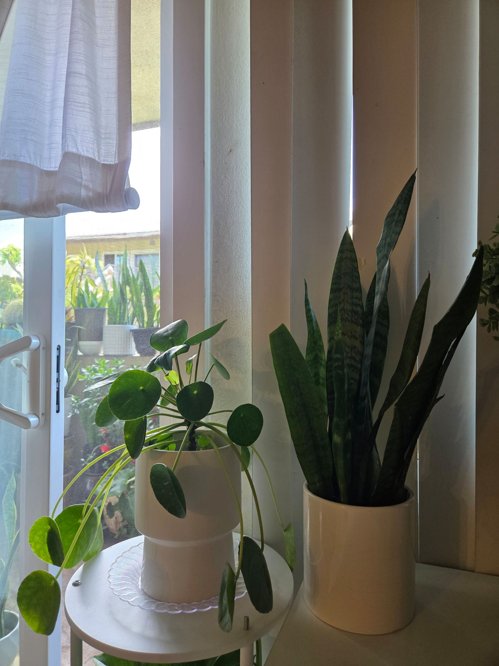 화분들( 한개에~