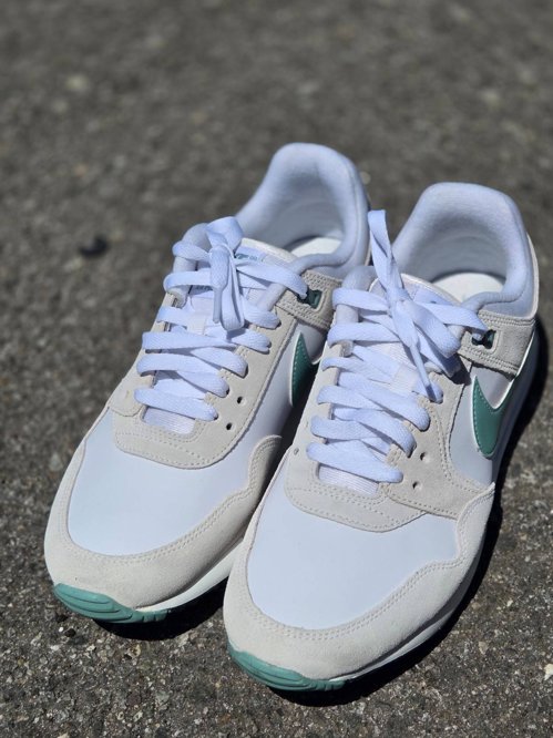 남성 골프화 Nike pegasus