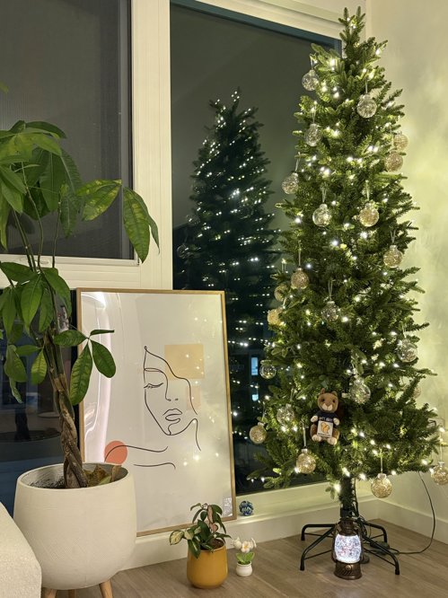 크리스마스 트리