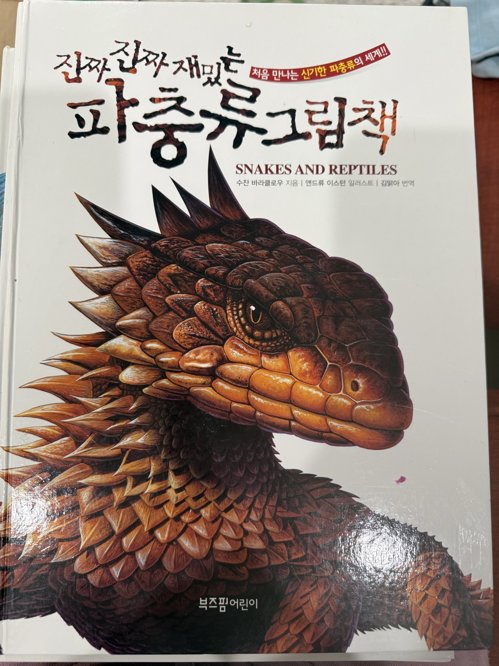 파충류, 공룡, 어류 백과사전 책 3권