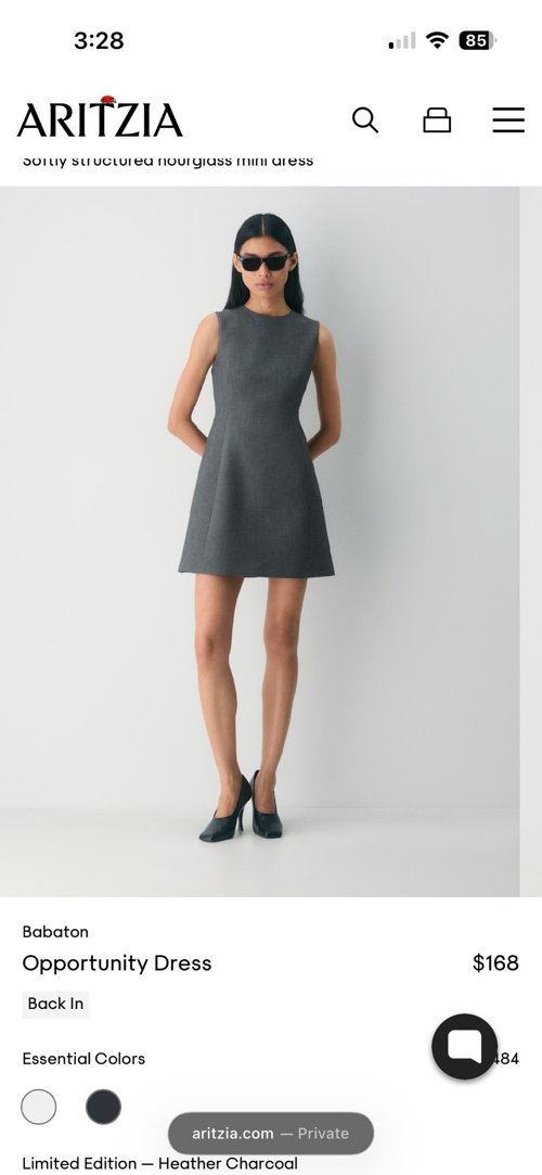 Babaton Dress (with tag)