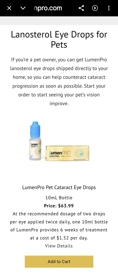 강아지 눈 백내장 예방 영양제